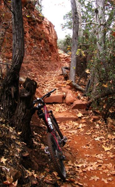 A narrow, rugged trail winding through a forested area with earthy red soil and scattered autumn leaves. A mountain bike is leaned against a tree on the left side of the path, surrounded by trees and rocky terrain. Templeton mountain bike trail.