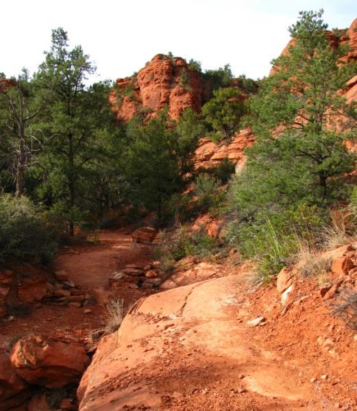 A narrow dirt trail winds through a landscape of red rock formations and green vegetation, surrounded by trees. The path is flanked by rocky terrain, leading towards steep, reddish cliffs in the background. The scene captures a serene and natural outdoor setting. Templeton mountain bike trail.