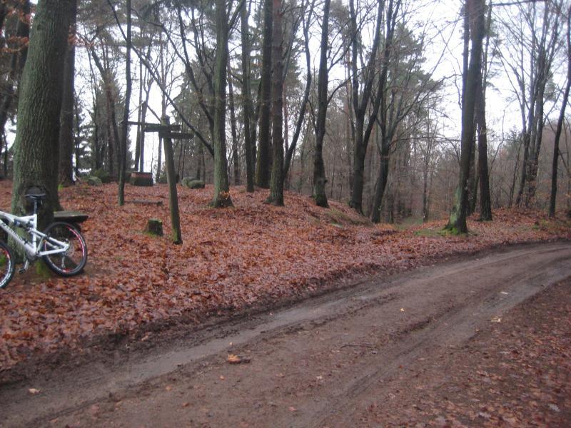 A dirt path winding through a forest during autumn, with trees on either side and an orange carpet of fallen leaves. A bicycle is leaned against a tree on the left side of the image, and there are some rocks visible on the ground. The atmosphere appears calm and slightly overcast, indicative of late fall. Hohenecken Trails mountain bike trail.