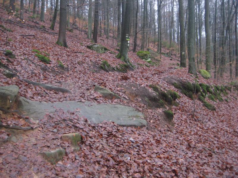 A forest trail covered in fallen leaves, with rocky terrain and bare trees. The path leads into the woods, where some signage is visible along the way. Moss-covered rocks and earthy colors dominate the scene, suggesting a serene, natural environment. Hohenecken Trails mountain bike trail.