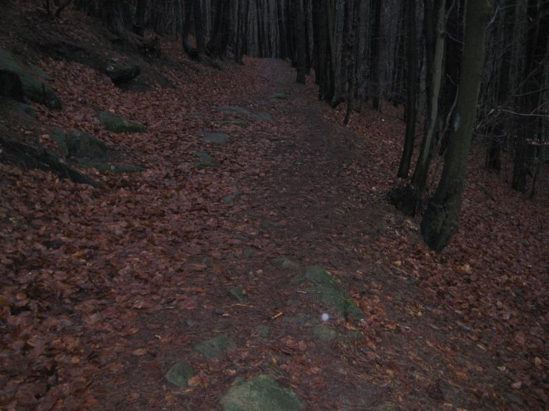 A narrow dirt path winding through a forest, covered with fallen leaves and scattered stones, surrounded by tall trees. The scene is dimly lit, creating a tranquil and atmospheric setting. Hohenecken Trails mountain bike trail.