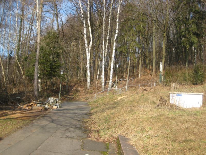 A pathway leads into a wooded area, flanked by tall trees, including birch and conifers. To the left, there's a stack of logs and a lamp post, while a gently sloping grassy hill rises on the right. A set of stairs is visible, leading up to a more densely wooded region. The scene is bathed in natural light, indicating a clear day. Hohenecken Trails mountain bike trail.