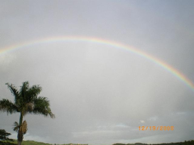 A vibrant rainbow arcs across a cloudy sky, with a palm tree standing in the foreground. The date "12/19/2006" is visible in the lower right corner of the image. Higuero Enchanted House mountain bike trail.