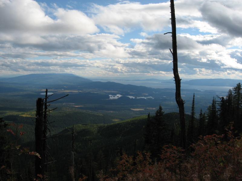 A panoramic view of a lush, mountainous landscape featuring rolling hills, valleys, and a distant lake, under a partly cloudy sky. In the foreground, there are several dead trees, while the background showcases vibrant greenery and a mountain range. The scene conveys a sense of tranquility and natural beauty. Horse Trails And Logging Roads Near Strawberry Lake mountain bike trail.