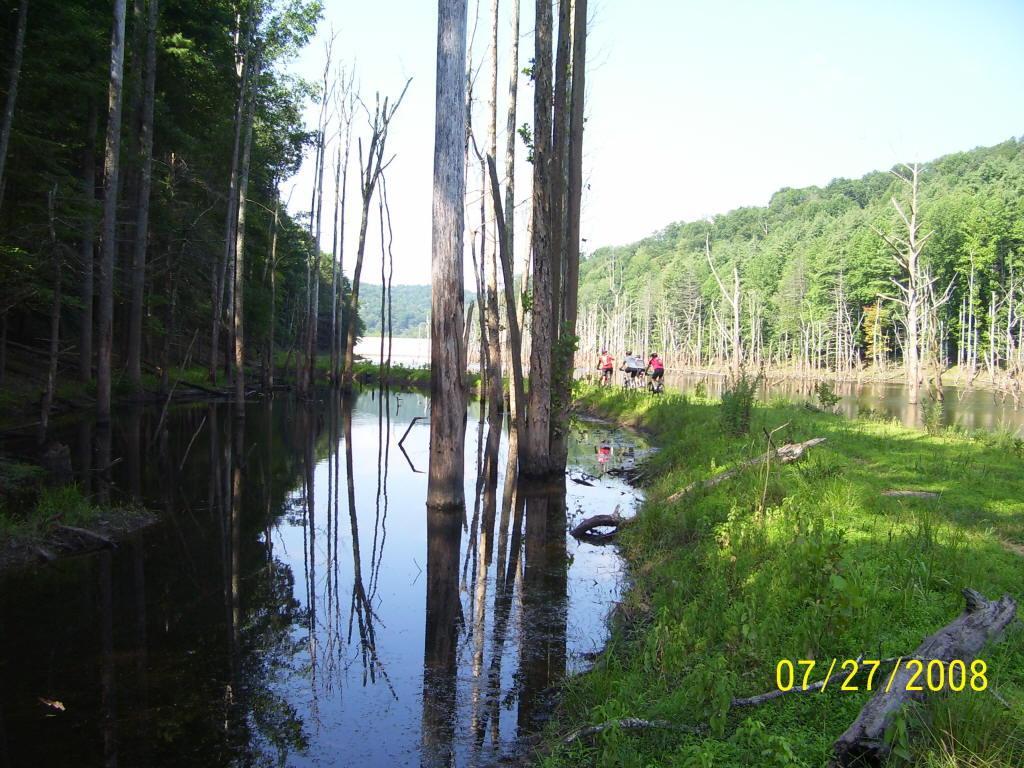 A serene landscape featuring a calm waterway surrounded by tall, dead trees, reflecting in the water. Lush green vegetation lines the banks, while a group of people can be seen in the distance, walking along the shore. The scene is set in a lush, forested area with rolling hills in the background under a clear blue sky. The image is date-marked “07/27/2008.” North Bend State Park mountain bike trail.
