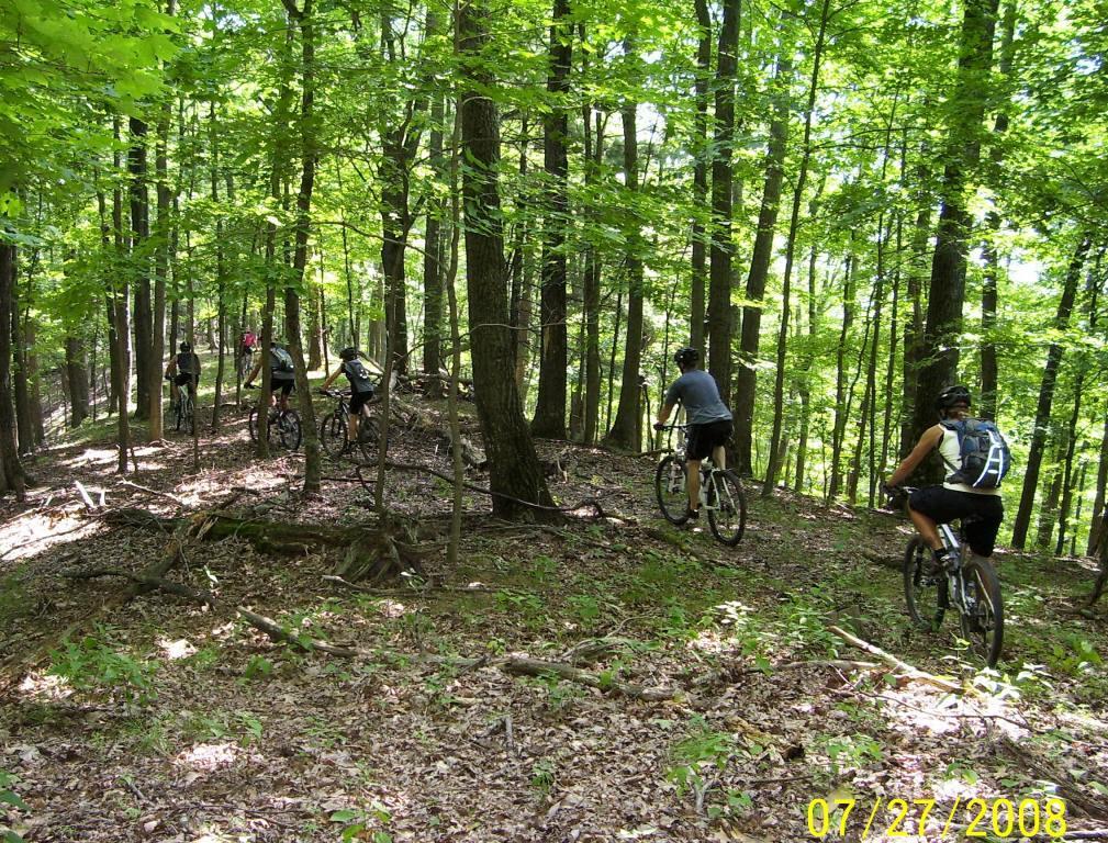 A group of people riding mountain bikes through a lush, green forest. Tall trees surround the trail, and the forest floor is covered with leaves and underbrush. The scene is vibrant and sunlit, showcasing an outdoor adventure on a warm day. North Bend State Park mountain bike trail.