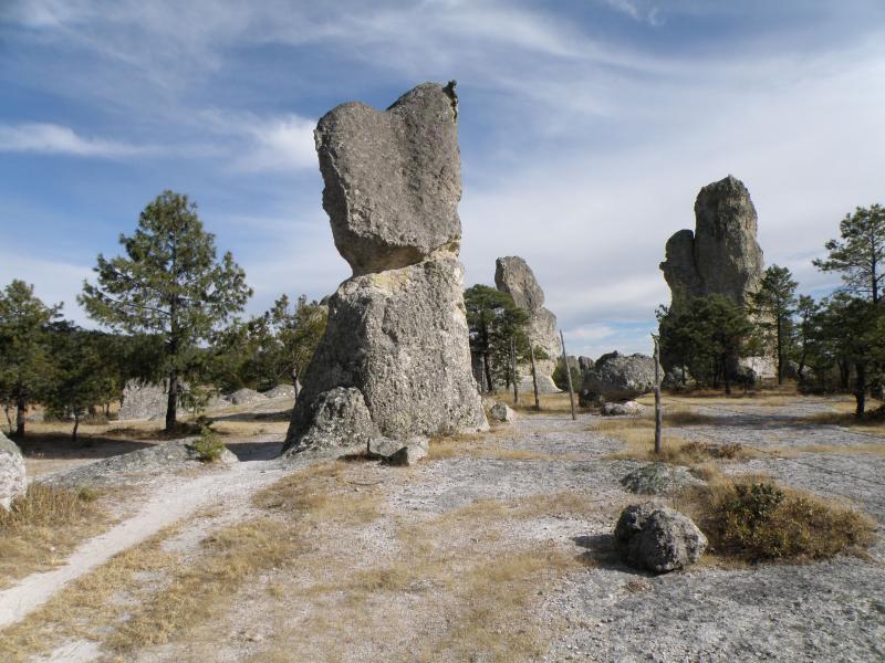 A landscape featuring large rock formations amidst a sparse terrain, with scattered pine trees and a clear sky. The scene shows a pathway winding through the rocky area, highlighting the unique shapes of the stones. Hills Above Creel mountain bike trail.