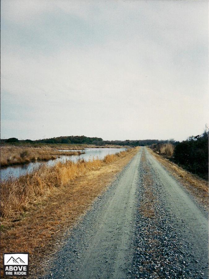 A gravel path stretches into the distance alongside a calm waterway, framed by tall grasses and sparse trees under a cloudy sky. The landscape reflects a serene natural environment, ideal for walking or exploring. False Cape State Park (back Bay Wildlife Refuge) mountain bike trail.