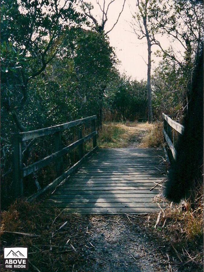 A wooden bridge leads through a grassy path surrounded by dense greenery and trees, creating a serene and natural environment. The scene is tranquil, with shadows cast on the bridge, hinting at a sunny day. False Cape State Park (back Bay Wildlife Refuge) mountain bike trail.