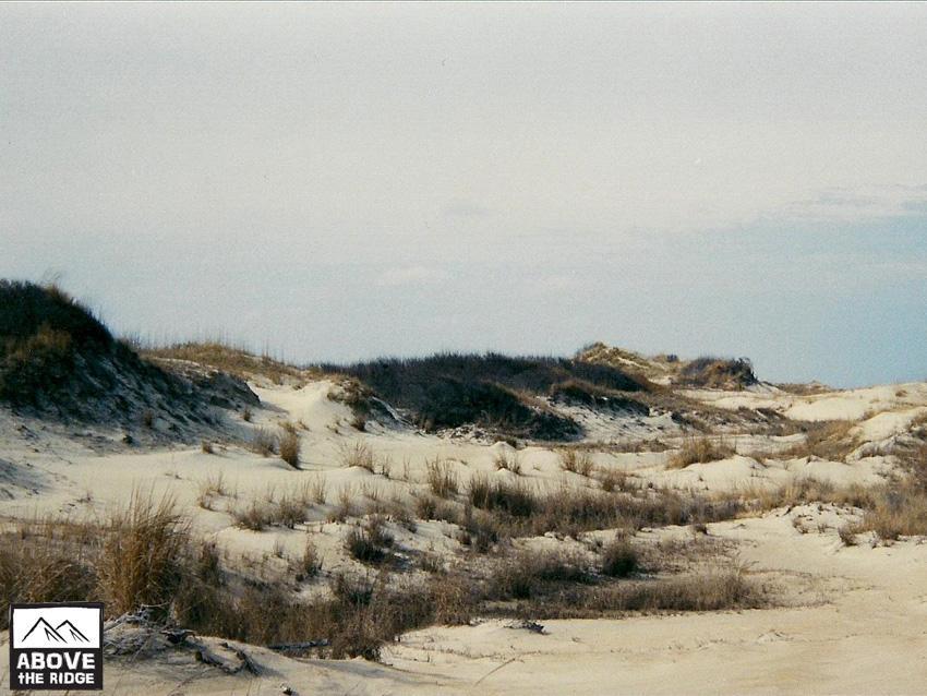 A serene landscape of sandy dunes covered in sparse grass, set against a cloudy sky. The scene captures the natural beauty of a coastal environment, with gentle slopes and varied textures of sand and vegetation. False Cape State Park (back Bay Wildlife Refuge) mountain bike trail.
