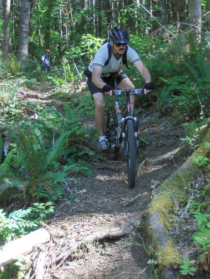 A cyclist riding a mountain bike on a forest trail, surrounded by lush greenery and ferns. The rider is focused on navigating the uneven terrain, wearing a helmet and gloves. In the background, another cyclist is visible on the trail. Sunlight filters through the trees, creating a vibrant outdoor setting. Dans Trail mountain bike trail.