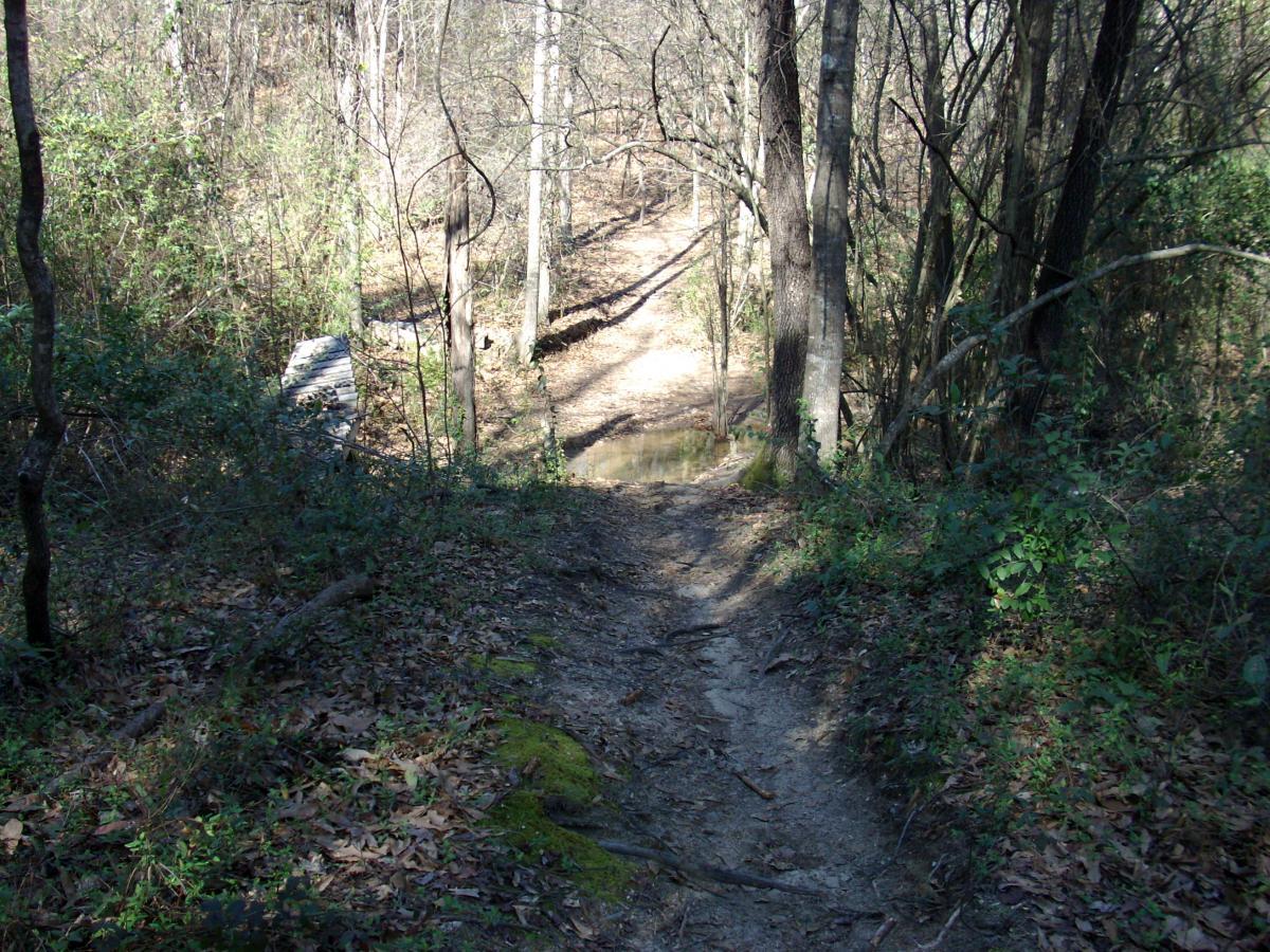 A narrow dirt path lined with fallen leaves, leading down a gentle slope into a wooded area. Sunlight filters through the trees, casting dappled shadows on the trail. In the background, a shallow stream can be seen, bordered by more trees and foliage. L.H. Thomson Trails mountain bike trail.