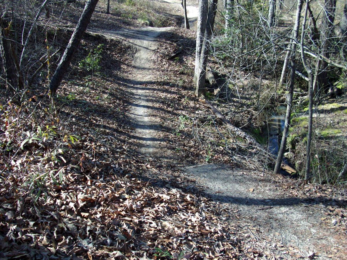 A narrow dirt path winding through a wooded area, bordered by fallen leaves and trees. A small creek is visible on the right, adding to the natural scenery. The sunlight filters through the branches, creating a tranquil atmosphere. L.H. Thomson Trails mountain bike trail.