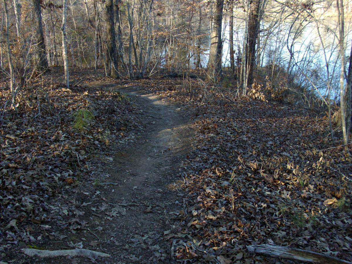 A dirt path winding through a wooded area, surrounded by dry leaves and trees, with a glimpse of water visible in the background. The scene captures the essence of a quiet, natural environment in the autumn season. Selma Erwin Nature Trail mountain bike trail.