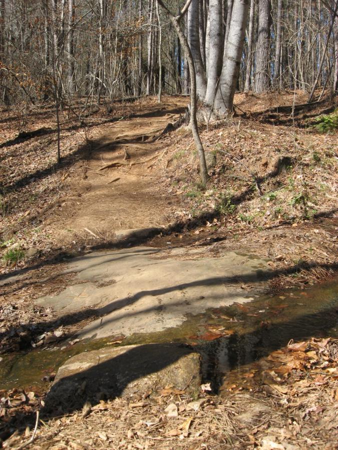 A dirt hiking trail winding through a forest, featuring a rocky path and a small stream with fallen leaves alongside. The scene is surrounded by tall trees, with sunlight filtering through branches, creating a peaceful natural setting. Heritage Park mountain bike trail.