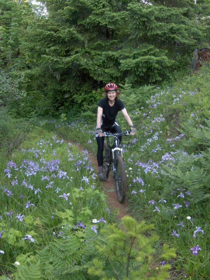 A person riding a mountain bike along a forest trail surrounded by vibrant wildflowers, including purple blooms. The cyclist is wearing a red helmet and black clothing, with lush greenery and trees in the background. McDonald / Dunn Forests mountain bike trail.