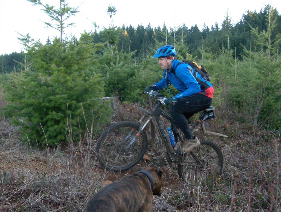 A mountain biker in a blue jacket and helmet navigates through a forested area with small evergreen trees. A brown dog is nearby, watching the biker as they ride along a narrow trail. McDonald / Dunn Forests mountain bike trail.
