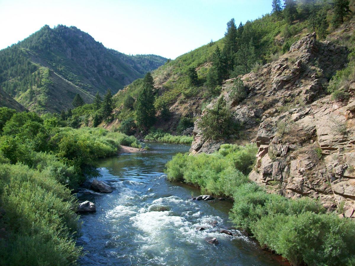 A serene riverside scene featuring a winding river surrounded by lush greenery and rocky hills under a clear blue sky. The landscape showcases vibrant trees and shrubs along the banks, with gentle rapids creating a peaceful atmosphere. Waterton Canyon mountain bike trail.