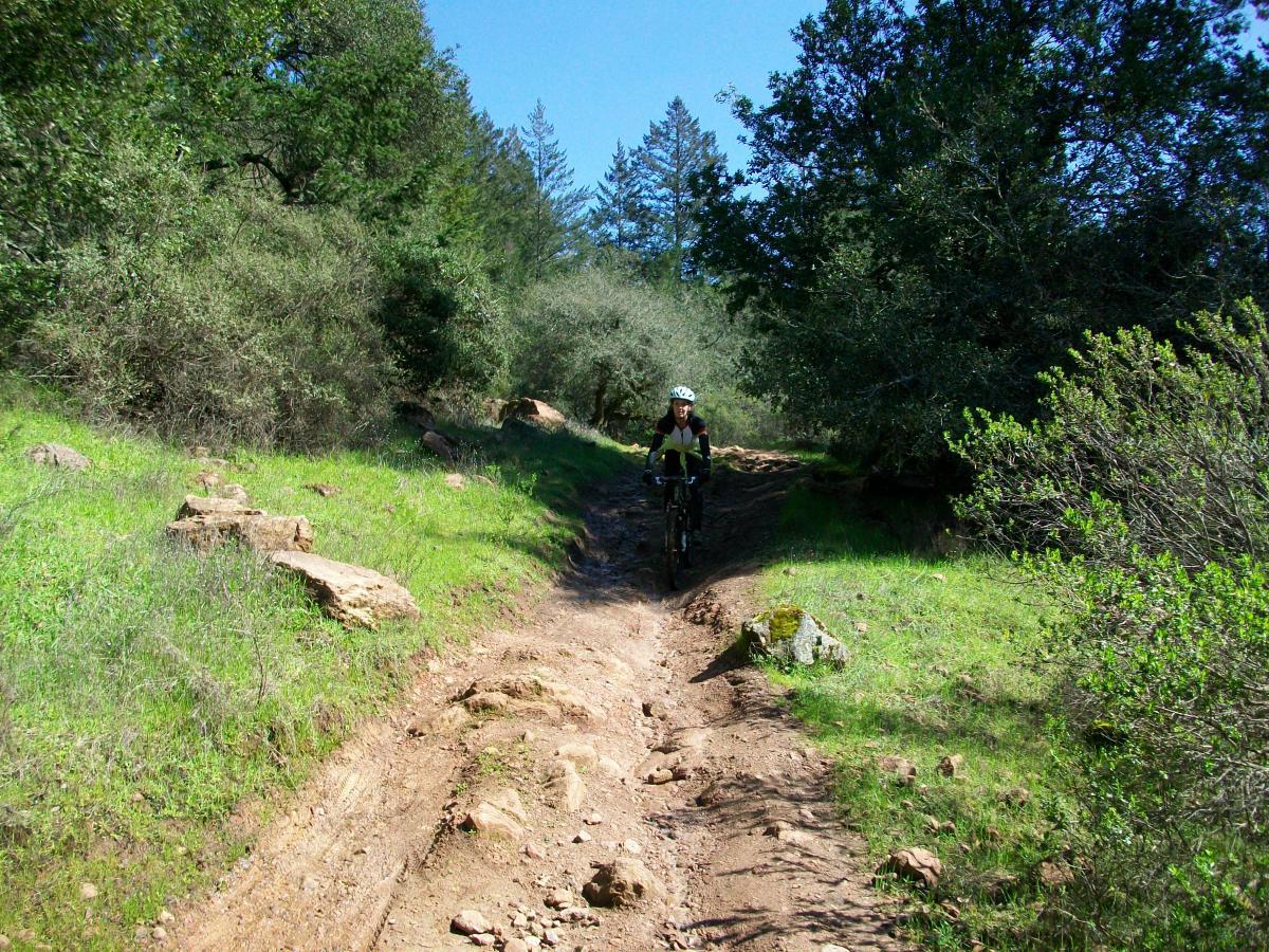 A person mountain biking on a rocky dirt trail surrounded by greenery and trees under a clear blue sky. Annadel State Park mountain bike trail.