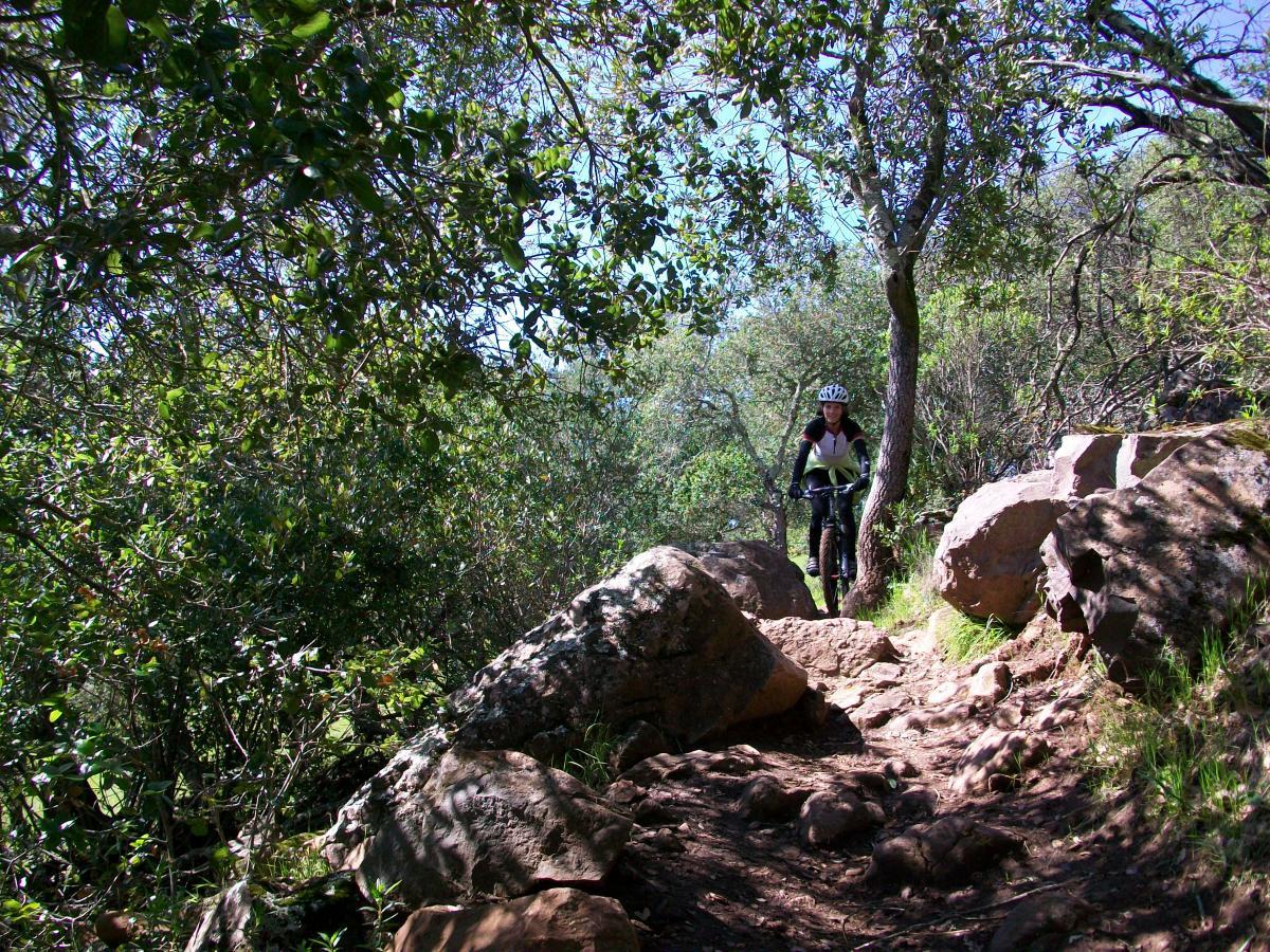 A person riding a mountain bike on a rugged trail surrounded by dense greenery and rocks, with sunlight filtering through the trees. Annadel State Park mountain bike trail.