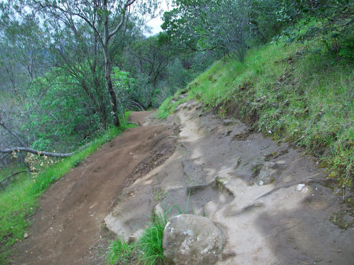 A narrow, winding trail through a lush, green landscape, lined by trees and bushes. The path is composed of earthy tones and features a large rock along its edge. The surrounding vegetation is vibrant, indicating a healthy, natural environment. Upper Bidwell Park mountain bike trail.