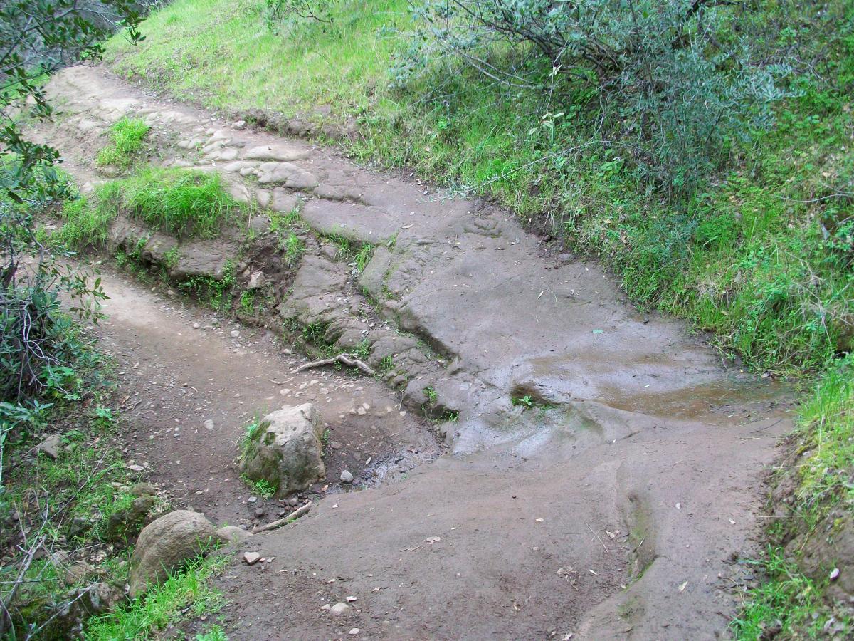 A dirt trail winding through lush greenery, featuring smooth and rocky sections, with patches of grass growing alongside. The trail appears to lead into a forested area, suggesting a natural outdoor setting ideal for hiking or exploration. Upper Bidwell Park mountain bike trail.