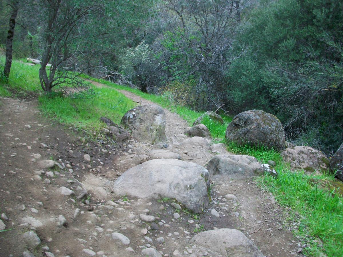 A rocky trail winding through a green landscape, bordered by trees and shrubs. The path features large boulders and smaller stones, surrounded by lush grass and vegetation. Upper Bidwell Park mountain bike trail.