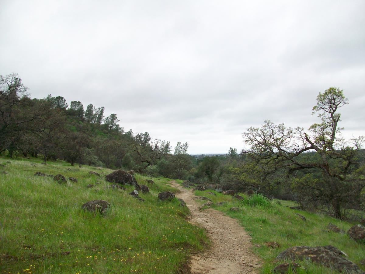 A winding dirt path leads through a grassy area with scattered rocks and trees, under a cloudy sky. The landscape features green hills in the background, creating a serene natural setting. Upper Bidwell Park mountain bike trail.