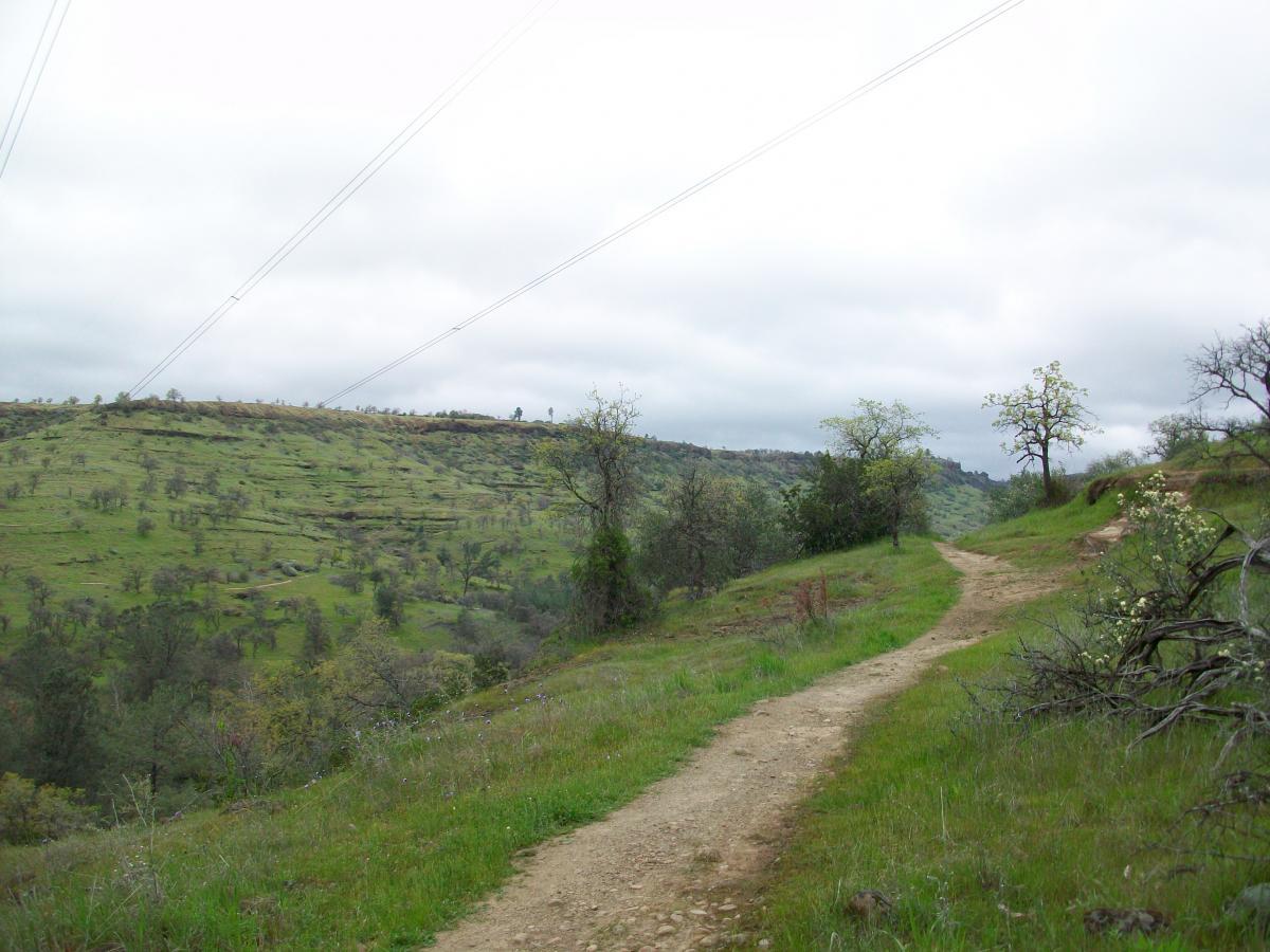 A winding dirt path traverses a grassy hillside, surrounded by scattered trees under a cloudy sky. Electrical power lines stretch across the horizon, blending into the landscape. The scene captures a serene and natural environment, ideal for outdoor exploration. Upper Bidwell Park mountain bike trail.