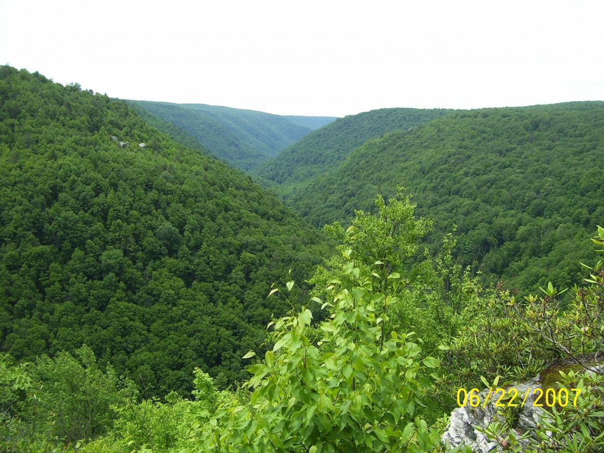 A panoramic view of lush green valleys, surrounded by rolling hills and dense forests under a cloudy sky. The scene captures the serene beauty of nature, with various shades of green from the foliage and a hint of rocky outcrops in the distance. The date 