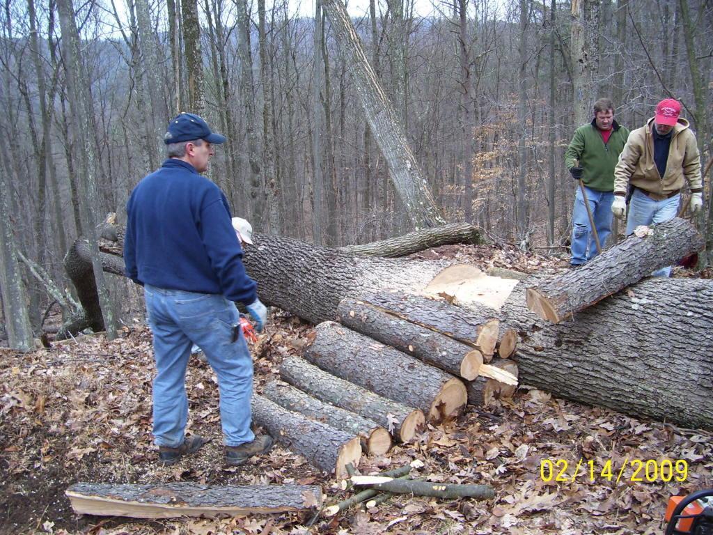 Three people are seen working in a wooded area, preparing a fallen tree for cutting. The foreground shows a large, cut log with several smaller logs nearby. Two men are maneuvering one of the smaller logs, while a third man stands in the background, holding a tool. The trees are bare, suggesting it is winter, and there are brown leaves scattered on the ground. North Bend State Park mountain bike trail.
