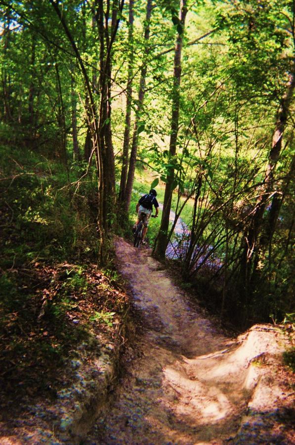 A person riding a mountain bike along a narrow dirt trail surrounded by lush green trees and foliage. The path leads downhill, with a glimpse of water visible in the background. The scene captures a sense of adventure in a natural setting. Hooper Road mountain bike trail.