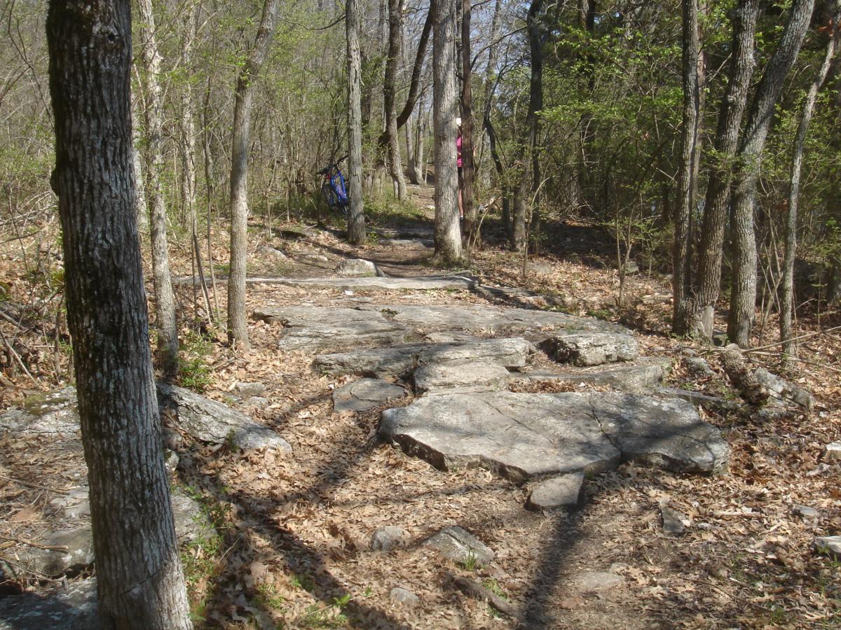 A dirt and stone hiking trail winding through a wooded area, lined by trees and scattered rocks, with some dried leaves on the ground. The trail appears natural and is surrounded by green foliage. Lock 4 mountain bike trail.