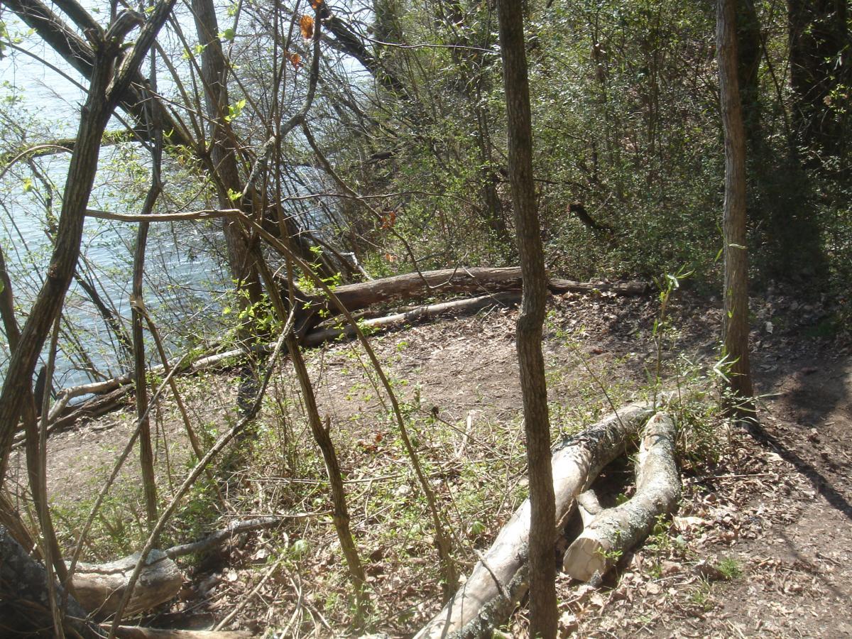 A serene natural landscape featuring a quiet lakeside scene. The image shows trees with sparse leaves and several fallen logs scattered on the ground, surrounded by green foliage. The tranquil water of the lake is visible in the background, suggesting a peaceful and secluded outdoor environment. Lock 4 mountain bike trail.