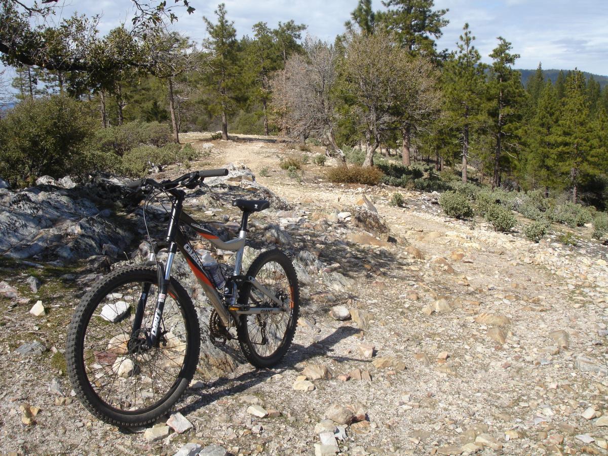 A mountain bike parked on a rocky trail surrounded by trees, with a clear blue sky in the background. The path winds through a natural landscape, showcasing rugged terrain and vegetation. Top Of The World mountain bike trail.