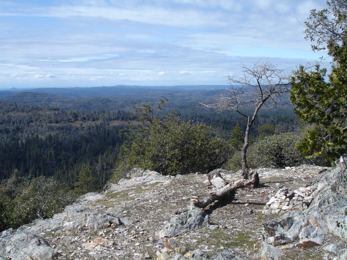 A panoramic view of a mountainous landscape under a partly cloudy sky, featuring a rocky outcrop in the foreground. A bare tree stands on the edge, surrounded by greenery, while the horizon is dotted with rolling hills and dense forests. Top Of The World mountain bike trail.