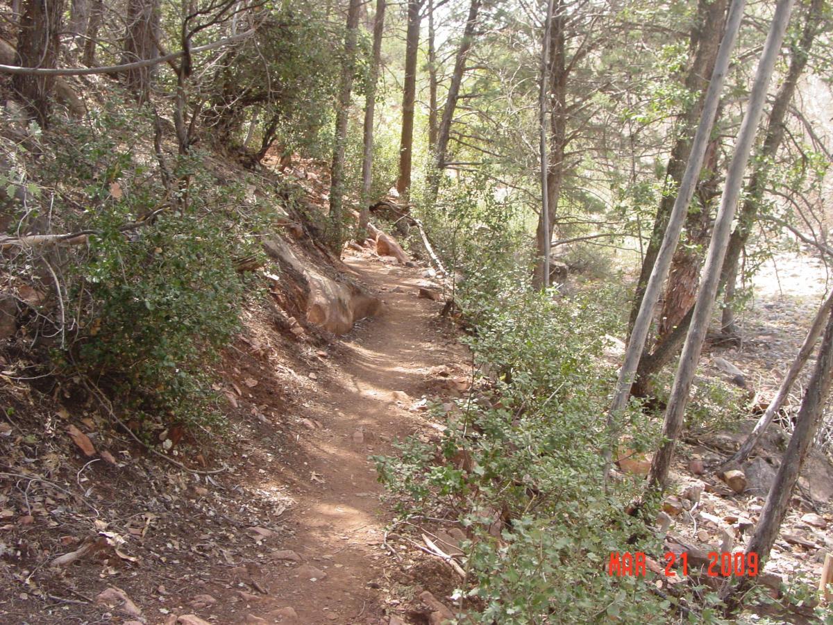 A dirt hiking trail winding through a forested area, lined with bushes and trees. The trail is flanked by rocky terrain, with sunlight filtering through the leaves, creating a serene and natural atmosphere. Huckaby mountain bike trail.