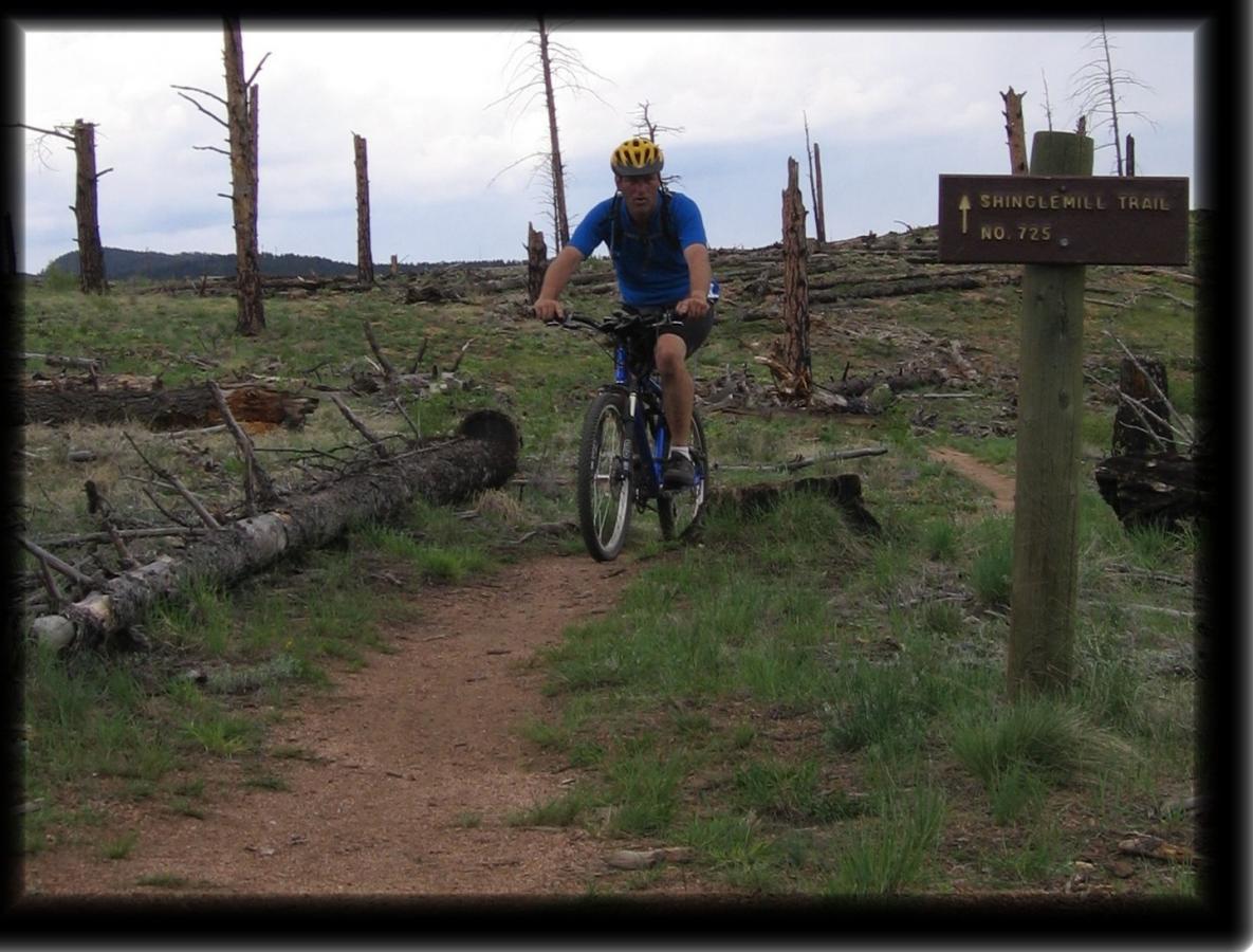 A mountain biker navigating a dirt trail in a forested area with sparse trees and fallen logs, next to a sign for the Shinglemill Trail (Trail No. 725). The scene depicts a cloudy sky overhead. Colorado Trail: Morrison Creek / Lunar Loop mountain bike trail.
