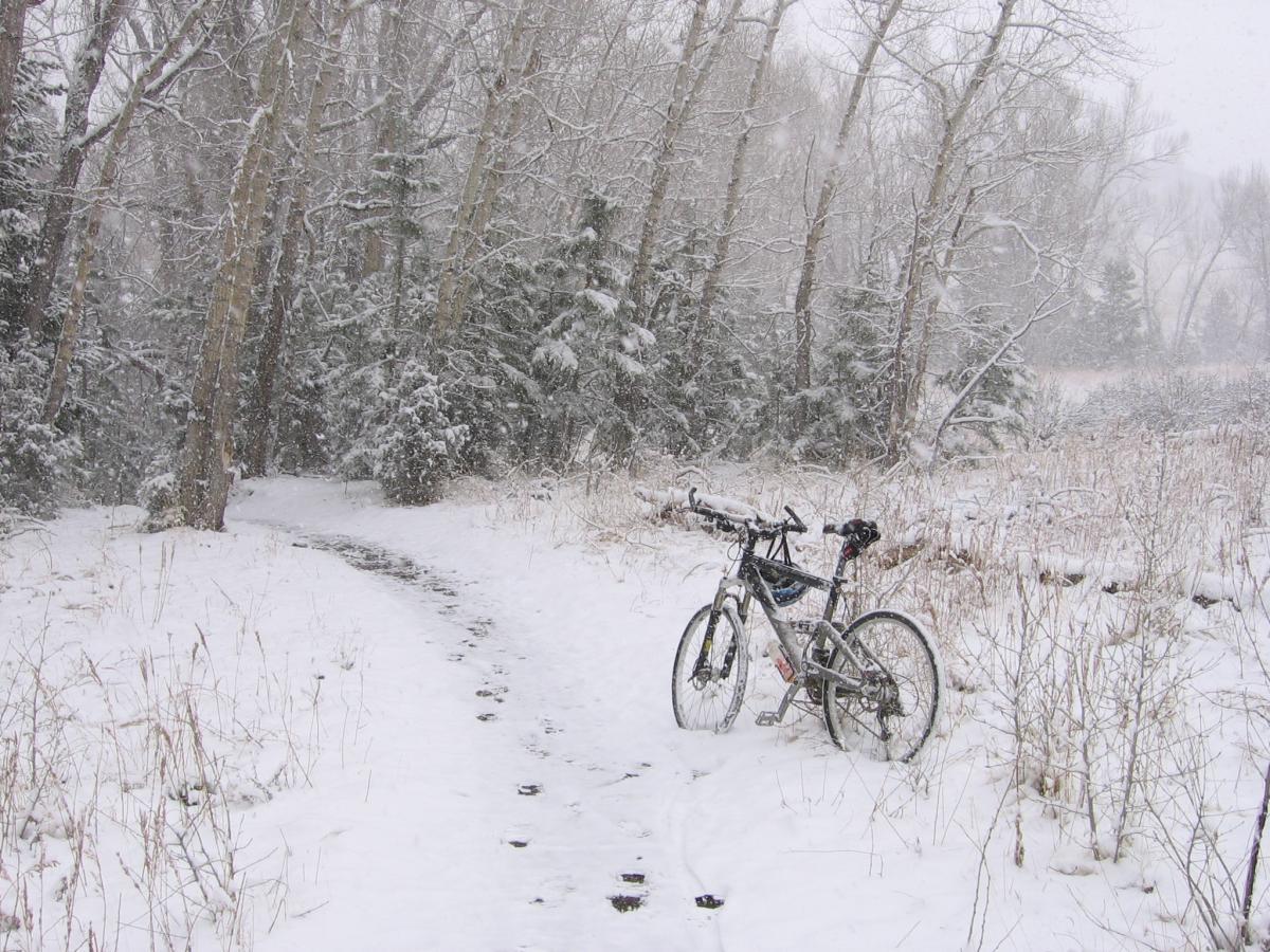 A mountain bike resting on a snowy path surrounded by bare trees and bushes, with snow falling densely in the background, creating a serene winter landscape. Centennial Cone Park mountain bike trail.
