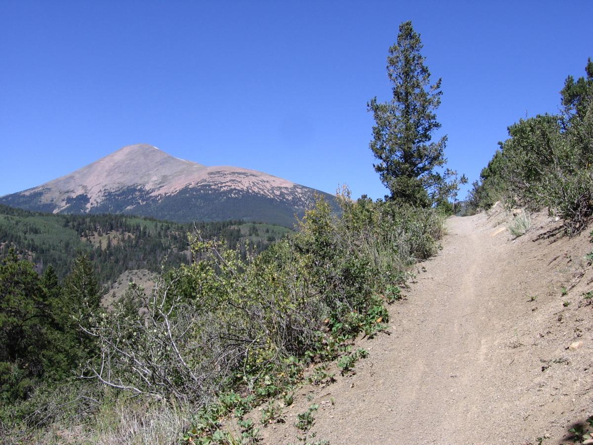 A winding dirt trail leads through lush greenery toward a distant mountain under a clear blue sky. The mountain is marked by a smooth, sloping peak and is surrounded by a mix of trees and shrubs on the hillside. Rainbow Trail: Silver Creek to Hwy 285 mountain bike trail.