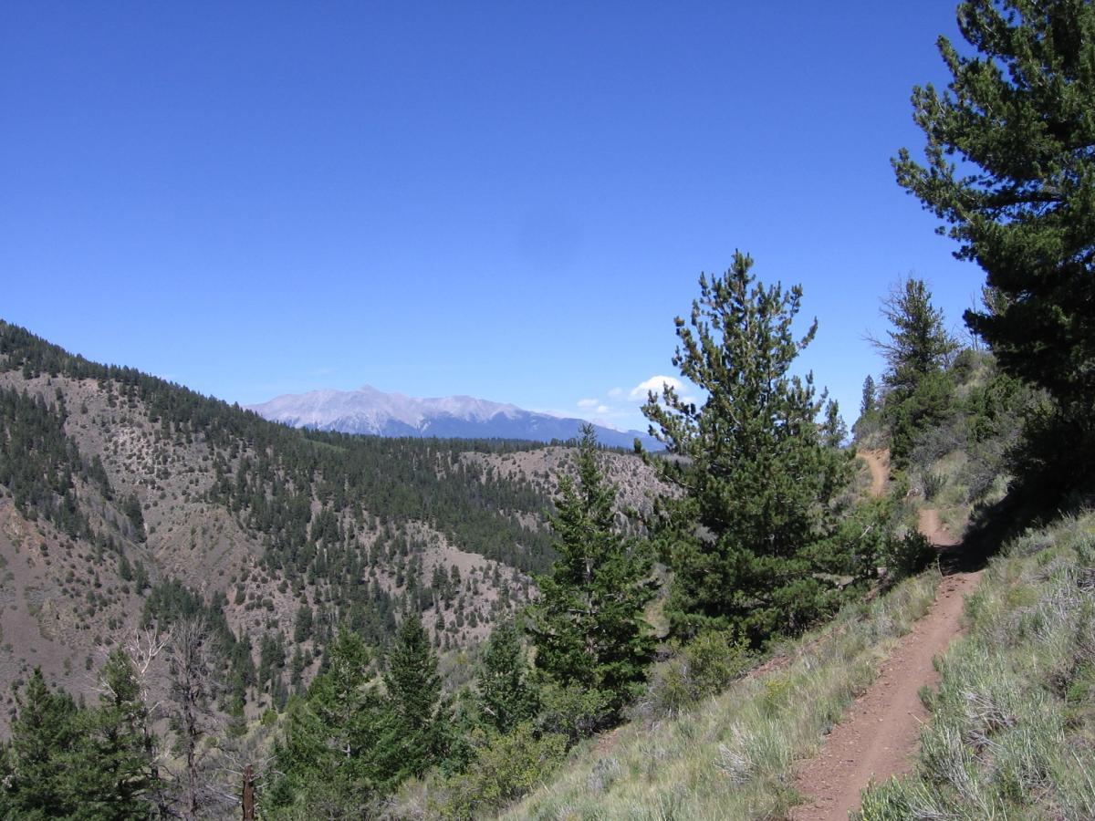 A scenic view of a mountain trail winding through lush green hills and pine trees, with a clear blue sky overhead and majestic peaks visible in the distance. Rainbow Trail: Silver Creek to Hwy 285 mountain bike trail.