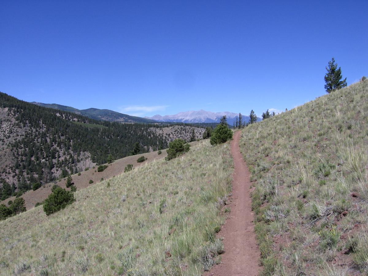 A dirt hiking trail winds through grassy hills, flanked by patches of small trees and shrubs, with mountains visible in the distance under a clear blue sky. Rainbow Trail: Silver Creek to Hwy 285 mountain bike trail.