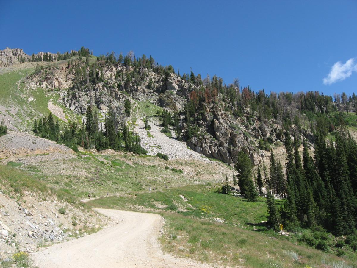 A winding dirt road leads through a rocky landscape, flanked by lush greenery and coniferous trees. The rocky hill rises steeply in the background under a clear blue sky, with patches of sunlight highlighting the terrain. Jackson Hole Bike Park mountain bike trail.