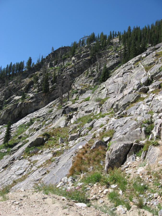 A rocky slope covered with patches of grass and small plants, surrounded by evergreen trees. The blue sky above contrasts with the rugged terrain, and a ski lift or observation structure can be seen in the upper part of the image. Jackson Hole Bike Park mountain bike trail.