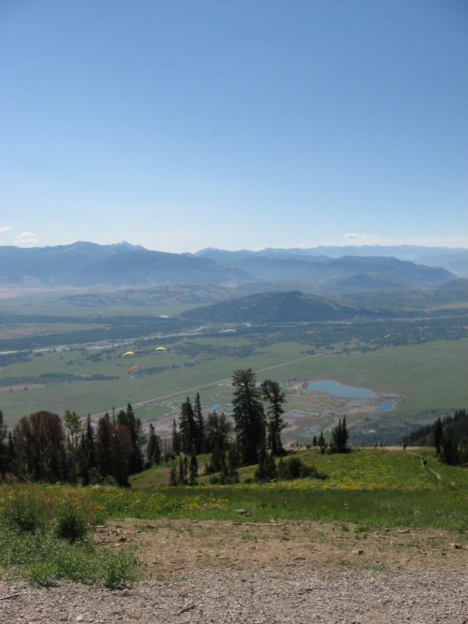 A panoramic view from a mountain peak showcasing a lush green valley with a winding river and a small body of water. In the distance, rolling mountains rise under a clear blue sky, and several colorful paragliders can be seen soaring gently above the landscape. The foreground features patches of wildflowers and a mix of evergreen trees, highlighting the natural beauty of the area. Jackson Hole Bike Park mountain bike trail.