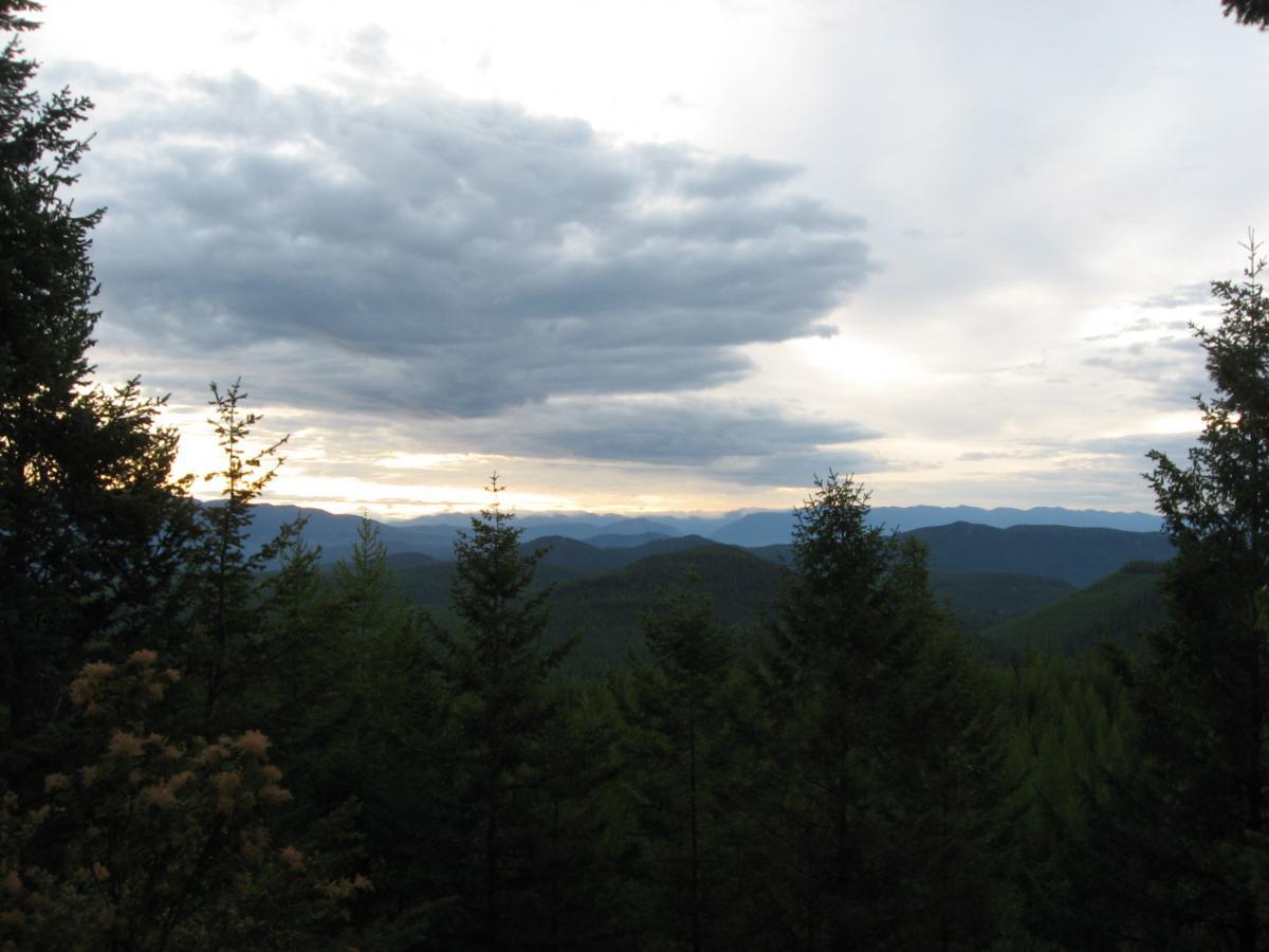 A panoramic view of a lush green forest leading into distant mountains under a cloudy sky, with the sun setting on the horizon and casting a warm glow. Pine trees frame the foreground, adding depth to the tranquil natural scene. Johnson Peak/Trixie Pass mountain bike trail.