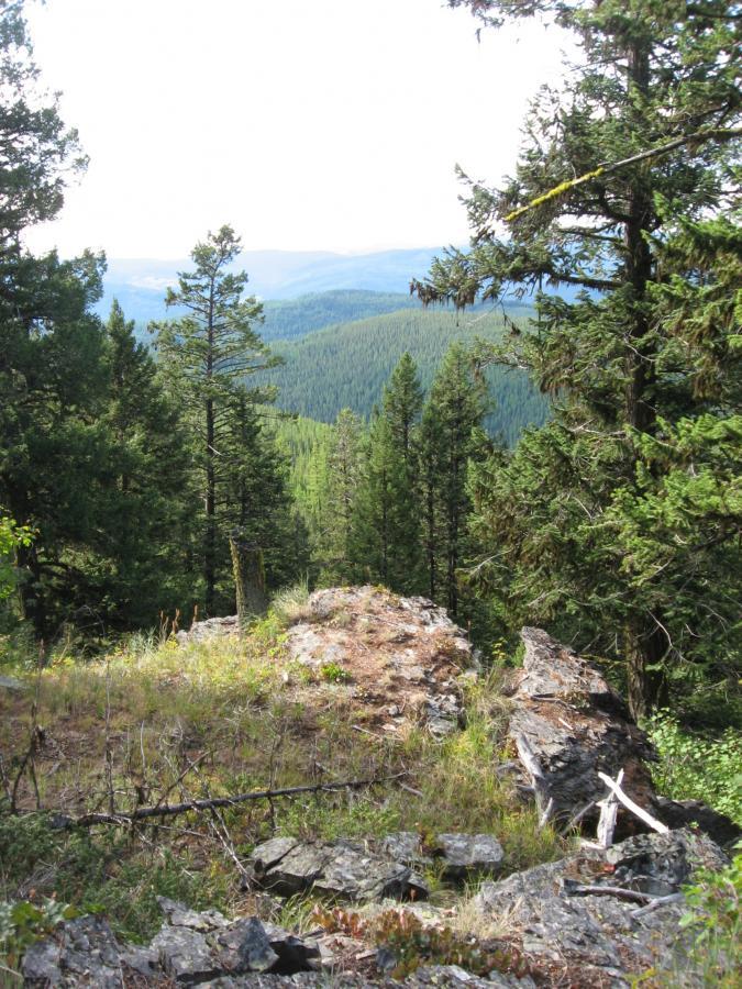 A scenic view of a forested landscape featuring tall trees and rocky outcrops, with rolling hills visible in the distance under a light, partly cloudy sky. Johnson Peak/Trixie Pass mountain bike trail.