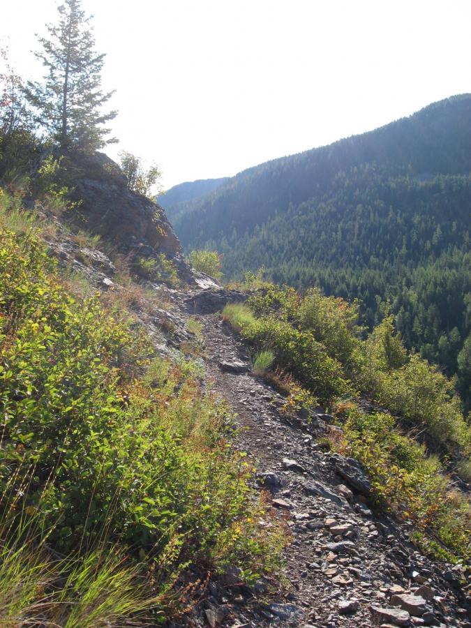 A rocky hiking trail lined with green shrubs and grasses, winding along a mountainside with a panoramic view of forested hills in the background under a bright sunny sky. Wolf Creek Trail/Echo Broken Leg #544 mountain bike trail.