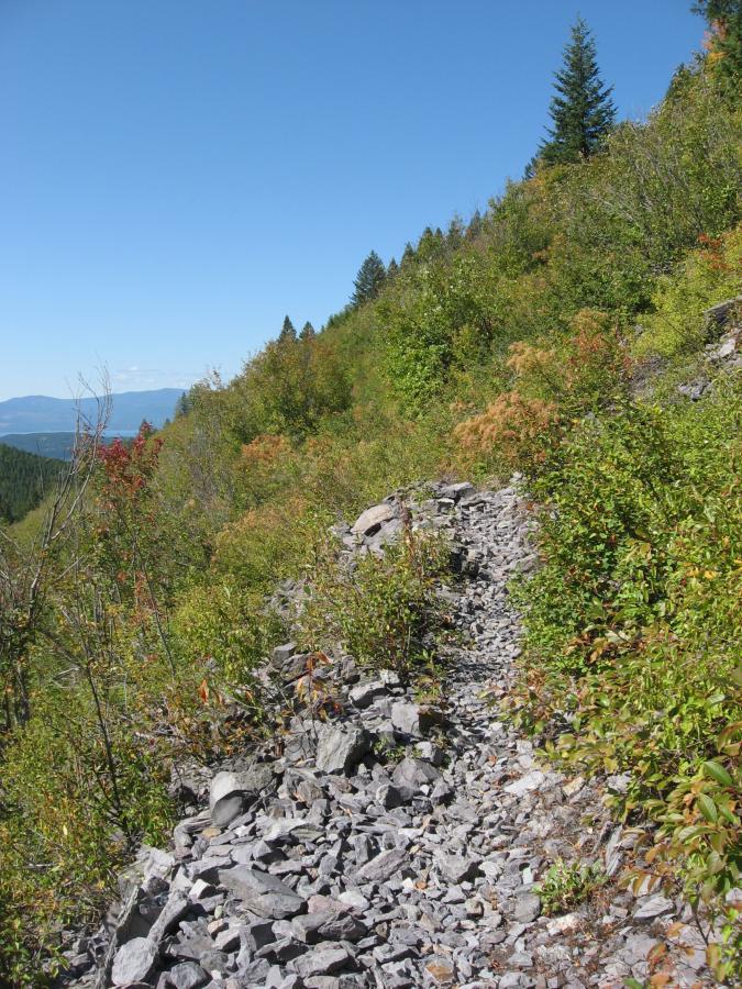 A rocky trail winding through lush green vegetation and trees, under a bright blue sky. The path is lined with various shrubs and the landscape slopes gently, offering a scenic view of the distant mountains. Wolf Creek Trail/Echo Broken Leg #544 mountain bike trail.