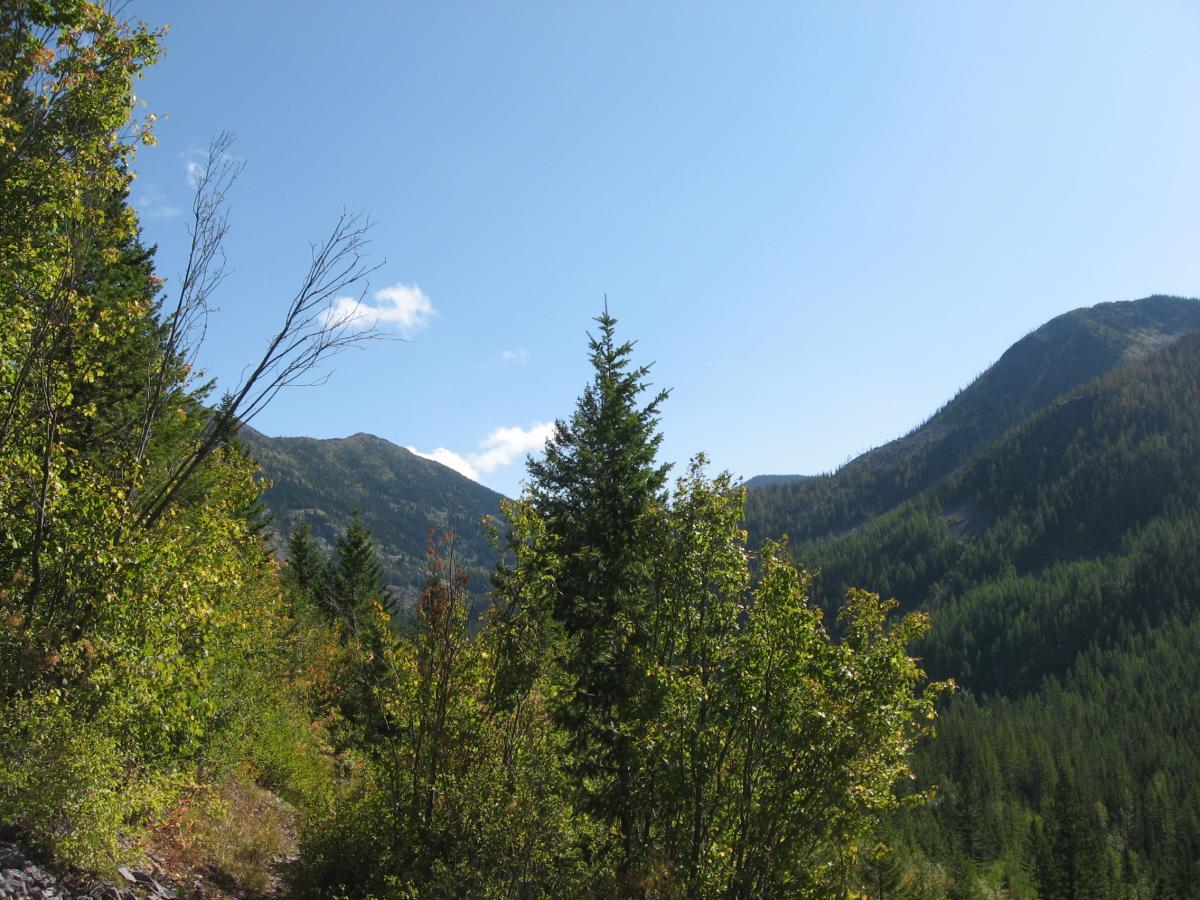 A scenic view of mountains and trees under a clear blue sky, showcasing a mix of evergreen and deciduous foliage, with peaks in the background. Wolf Creek Trail/Echo Broken Leg #544 mountain bike trail.